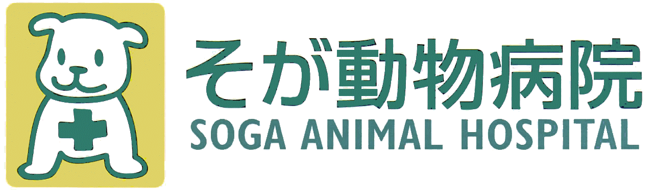 そが動物病院（神奈川県平塚市）