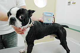 犬用体脂肪計