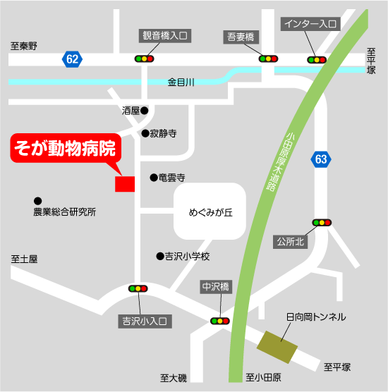 そが動物病院　地図