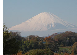 富士山
